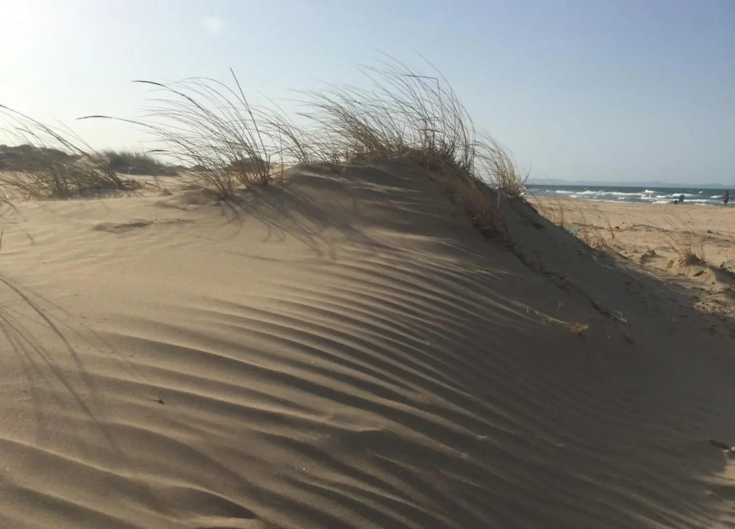 Une Grande Villa La Marsa Tunisia