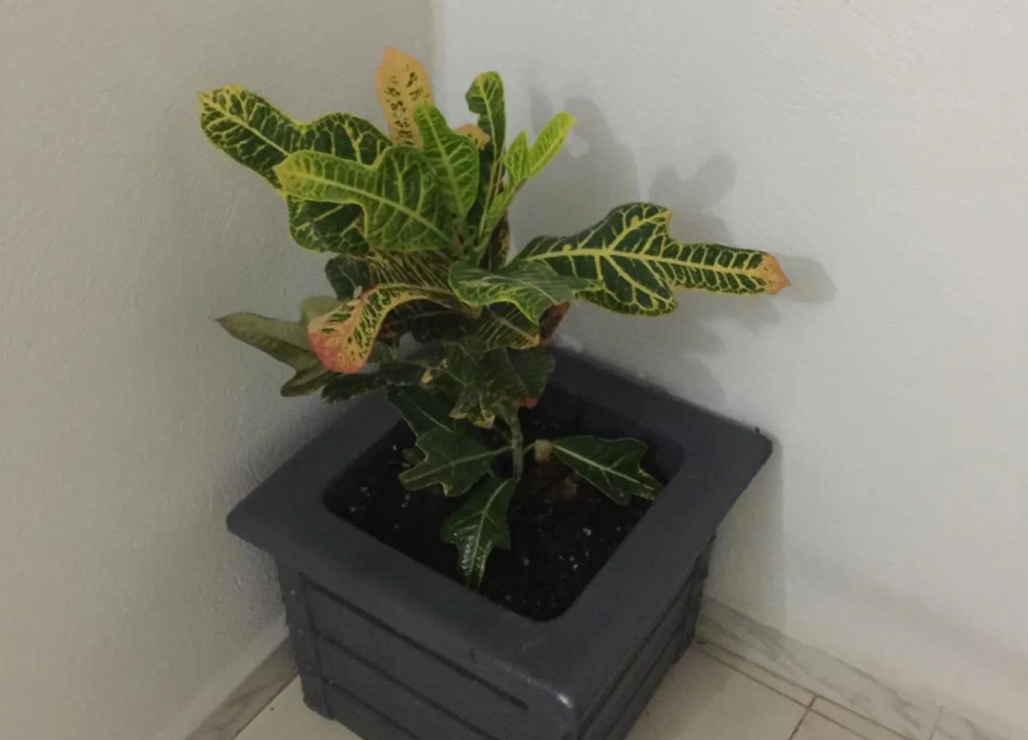 Un Nouveau Appartement Avec Un Parking Sur Place La Marsa Tunisia