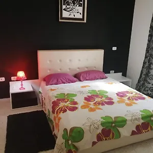 Palmeraies Tunis La Marsa